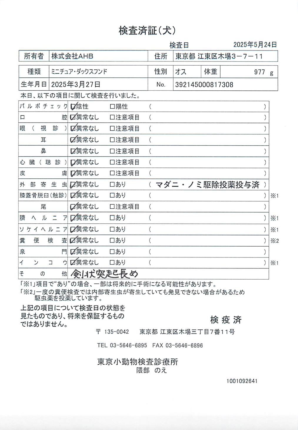 ミニチュア・ダックスフンド