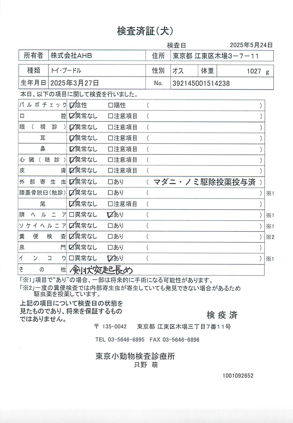 トイ・プードル