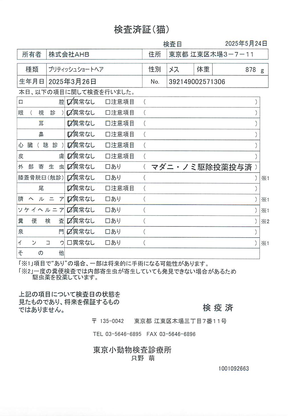 ブリティッシュショートヘア