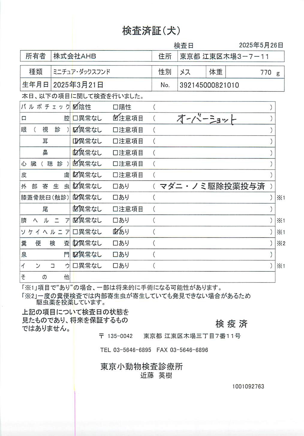 ミニチュア・ダックスフンド