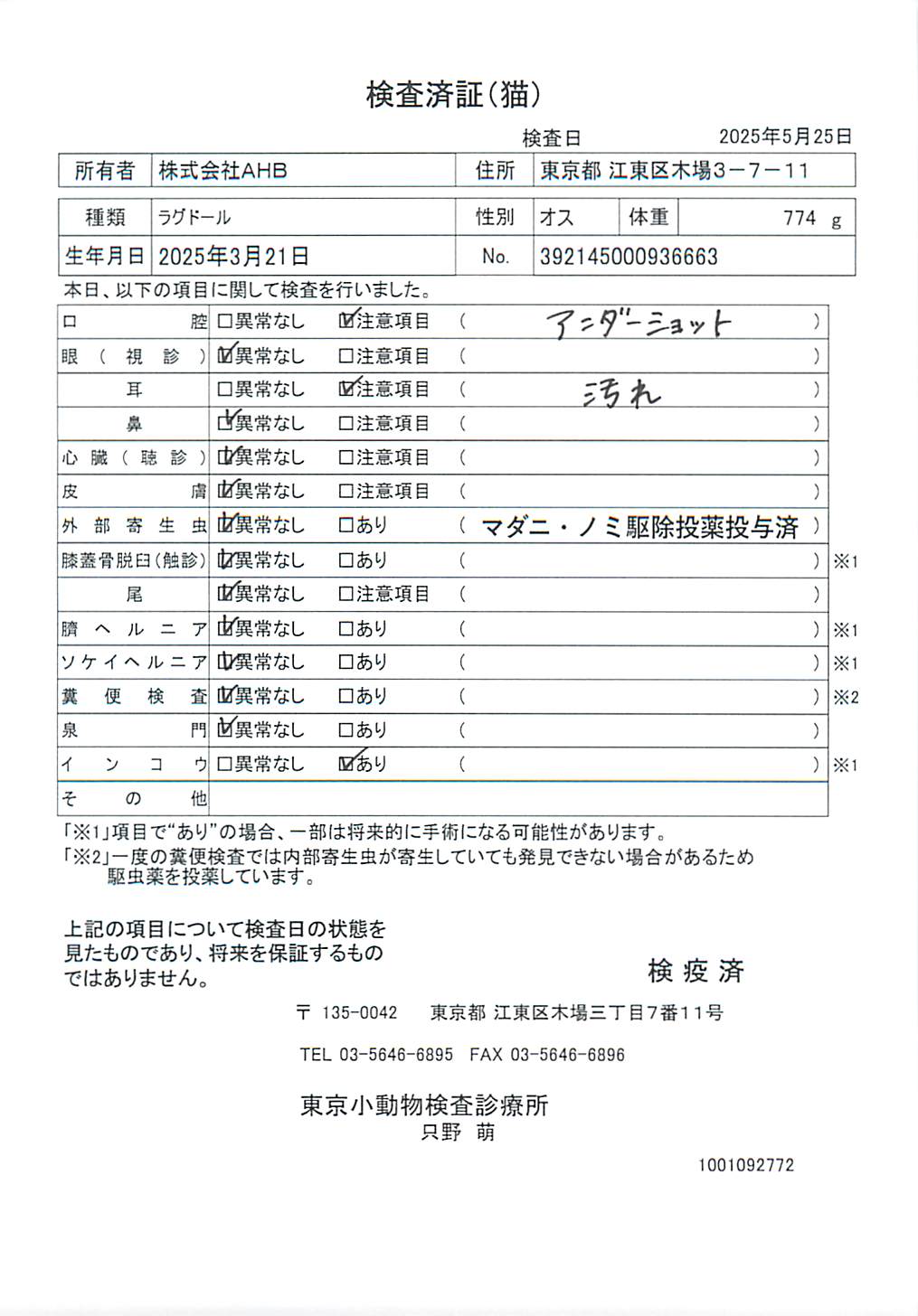 ラグドール