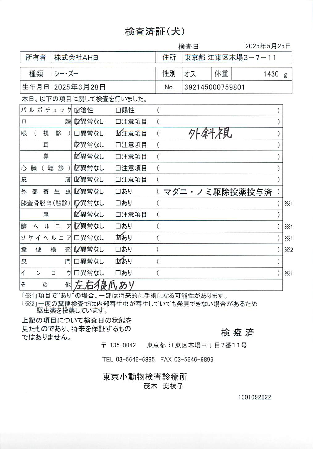 シー・ズー