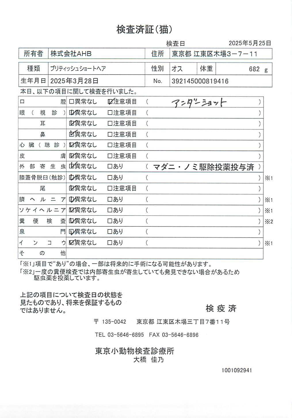 ブリティッシュショートヘア