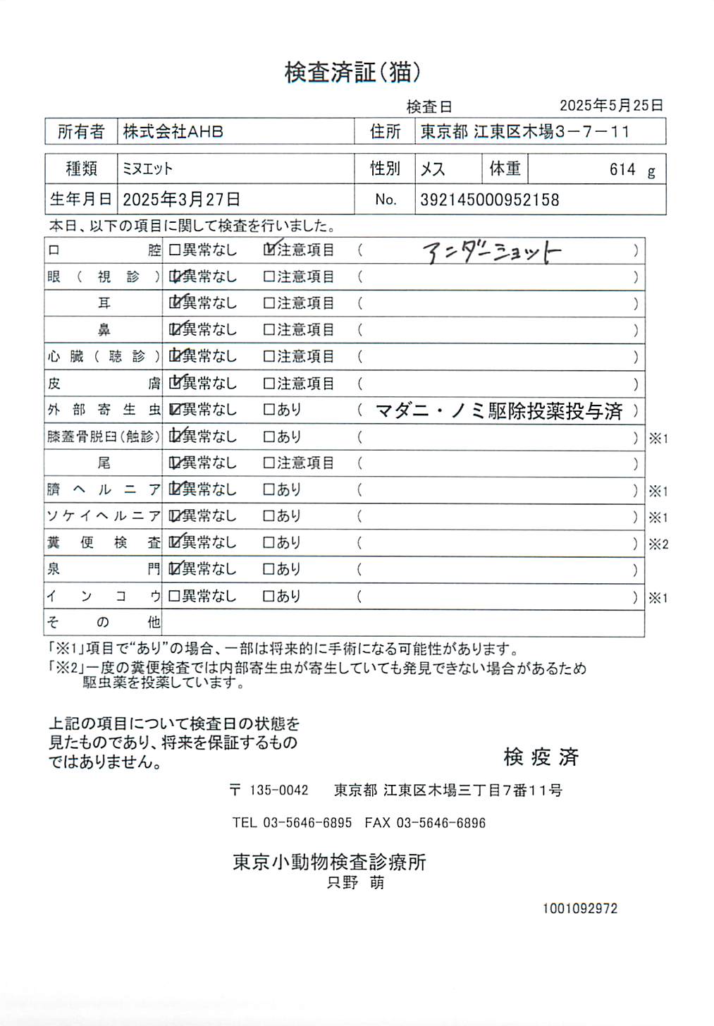 ミヌエット