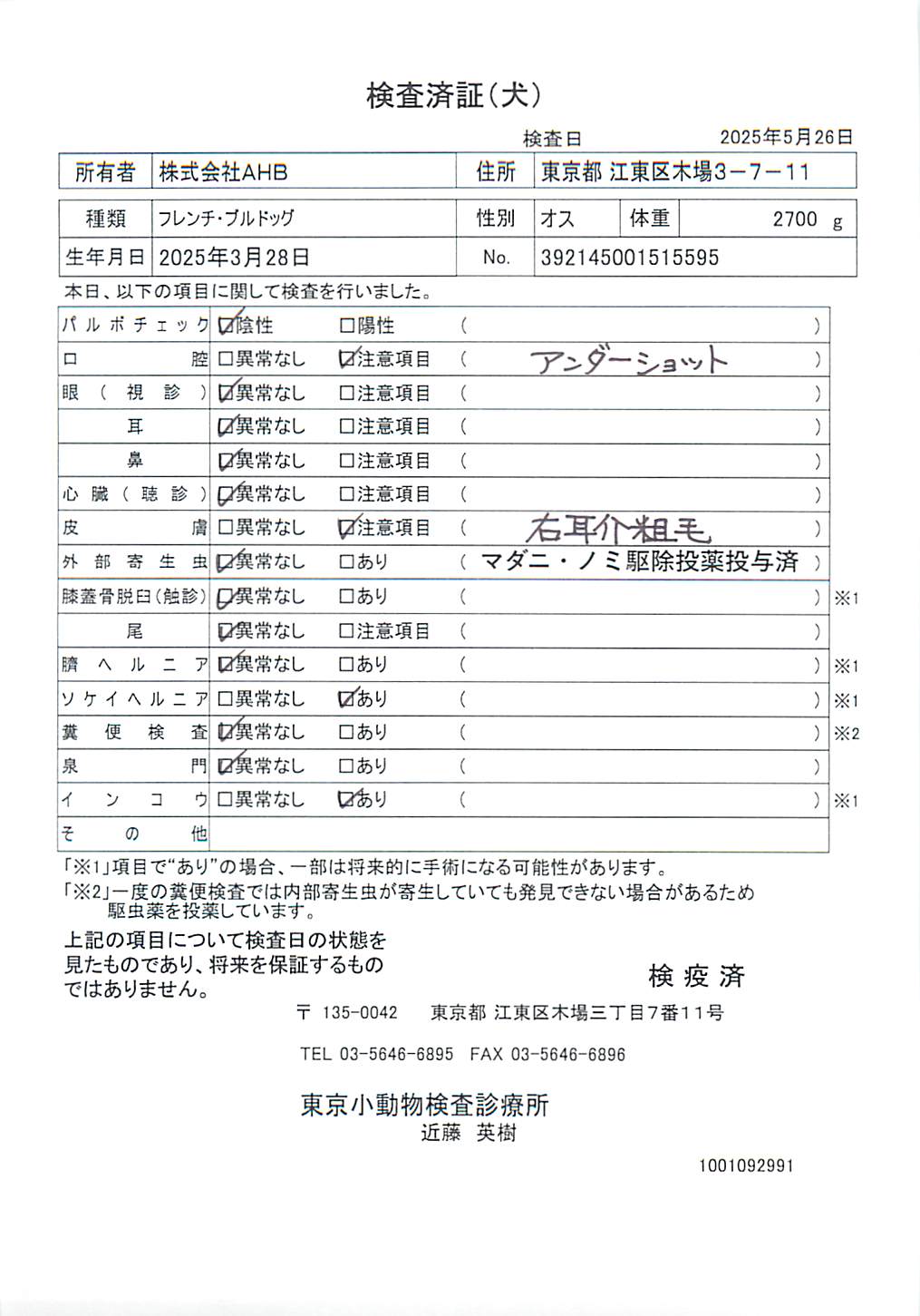 フレンチ・ブルドッグ