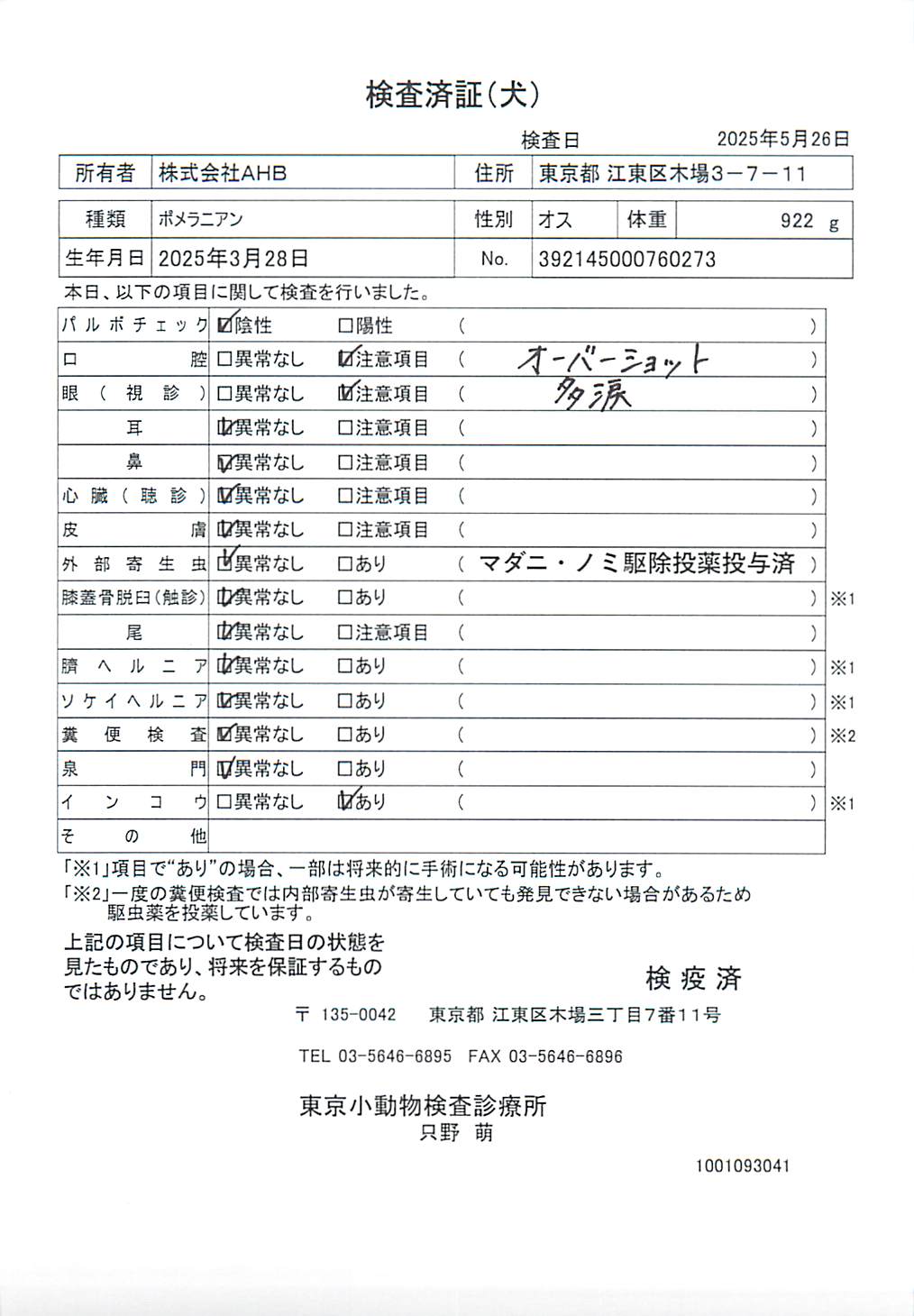ポメラニアン