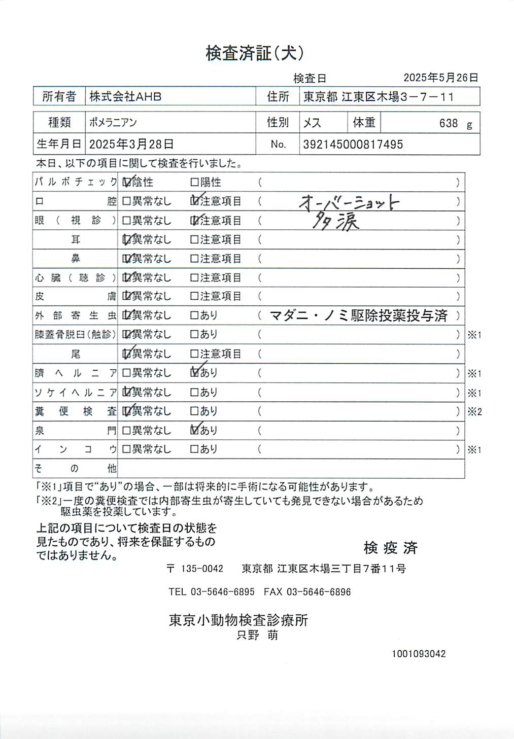 ポメラニアン