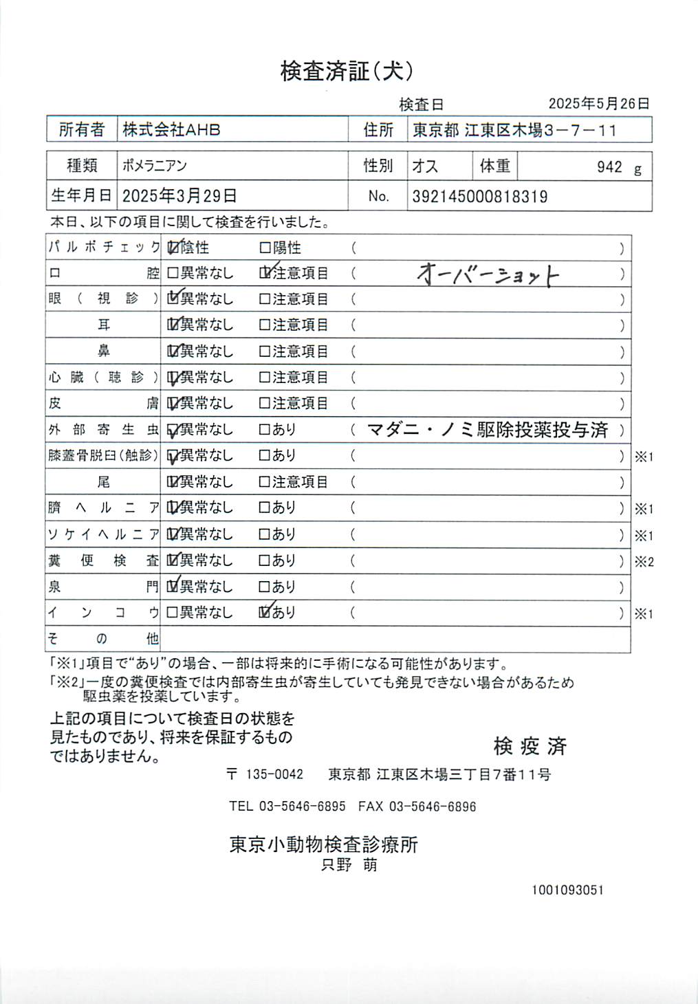 ポメラニアン