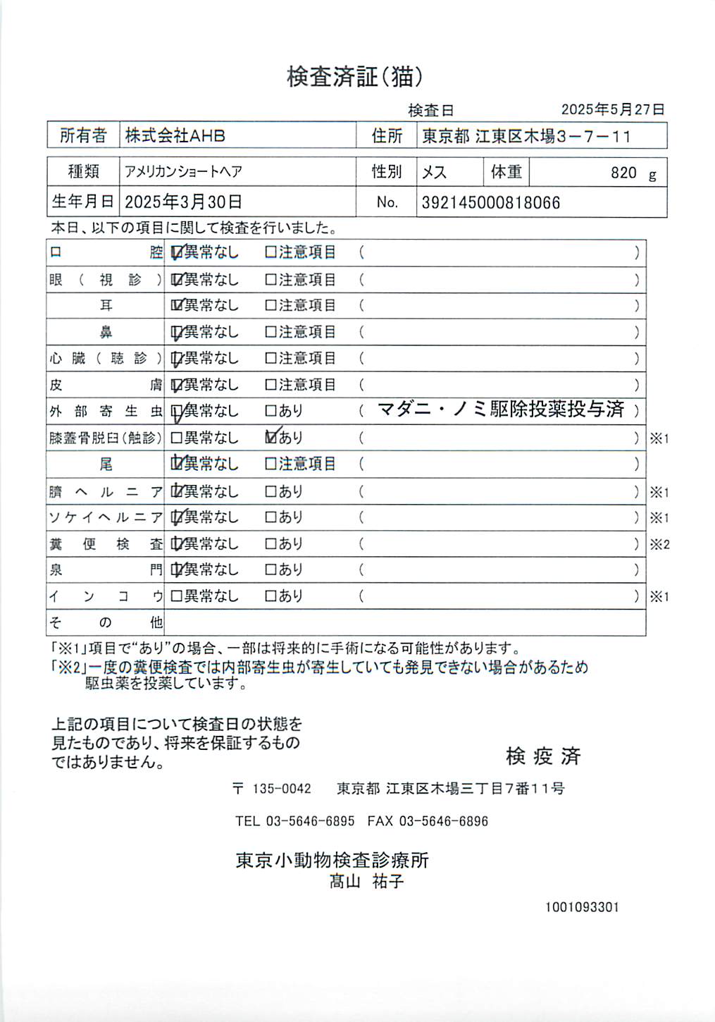 アメリカンショートヘア