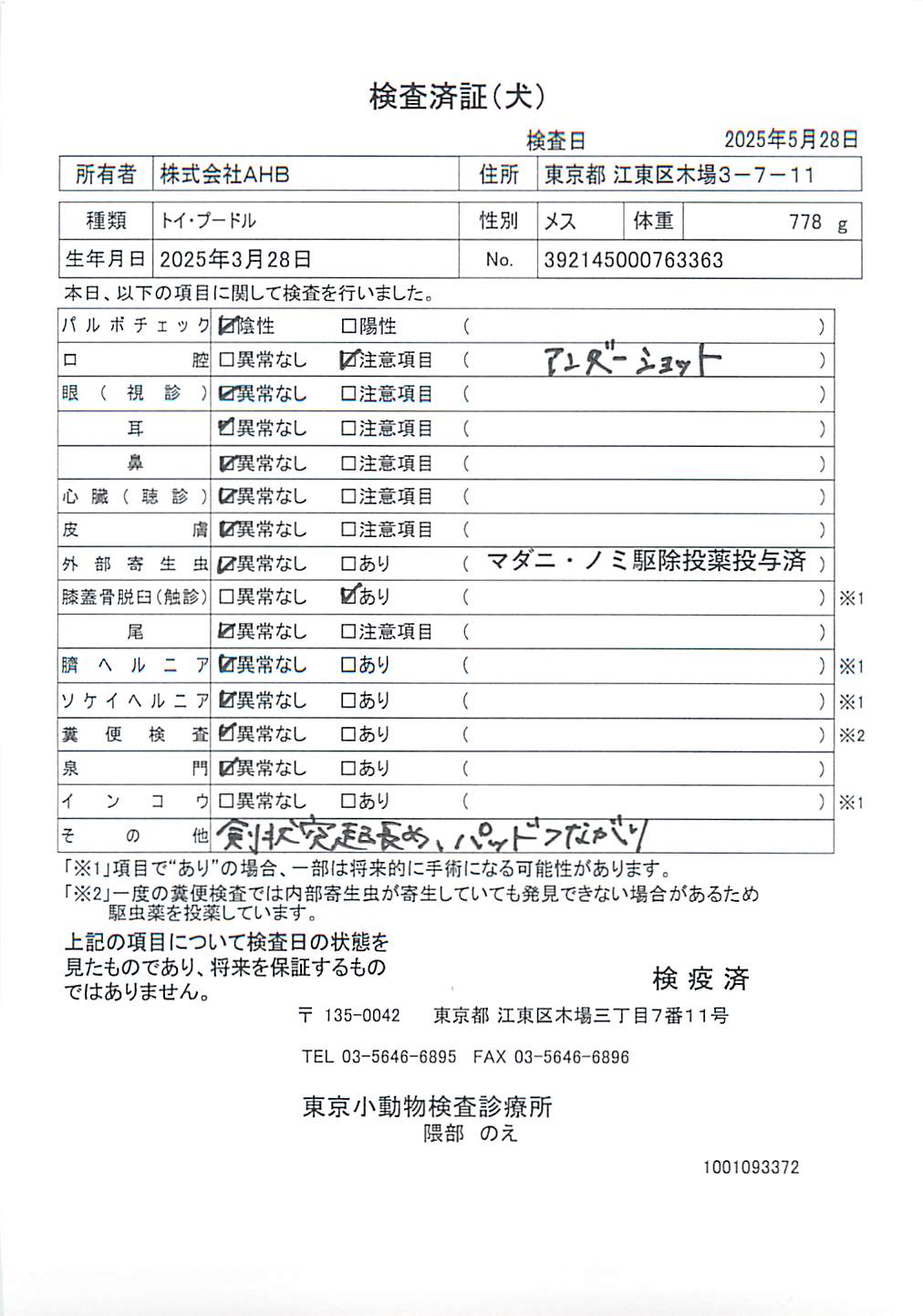 トイ・プードル