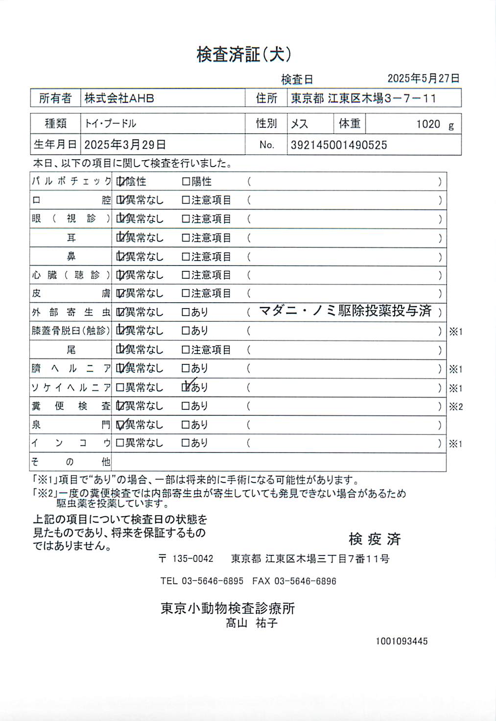 トイ・プードル