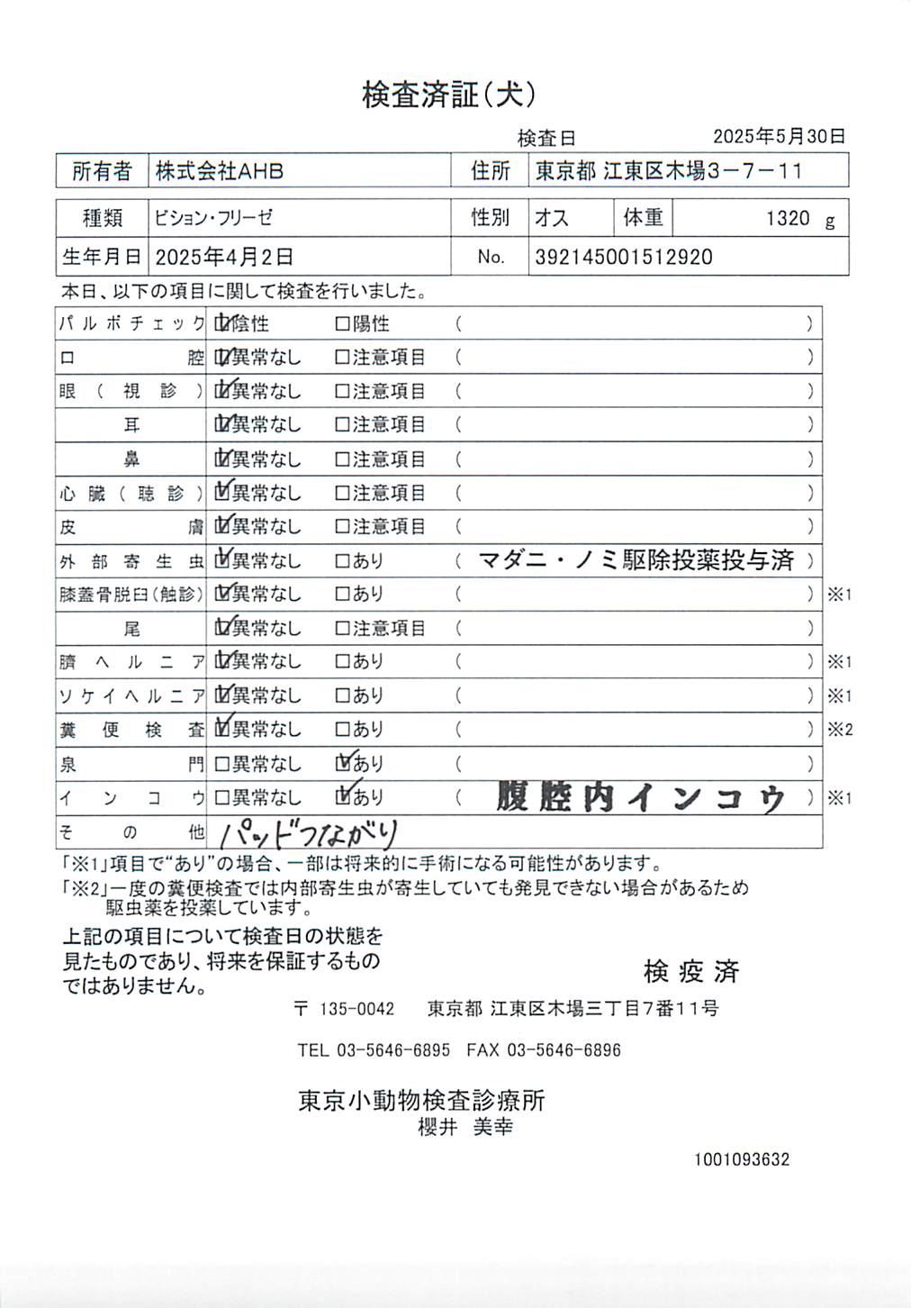 ビション・フリーゼ