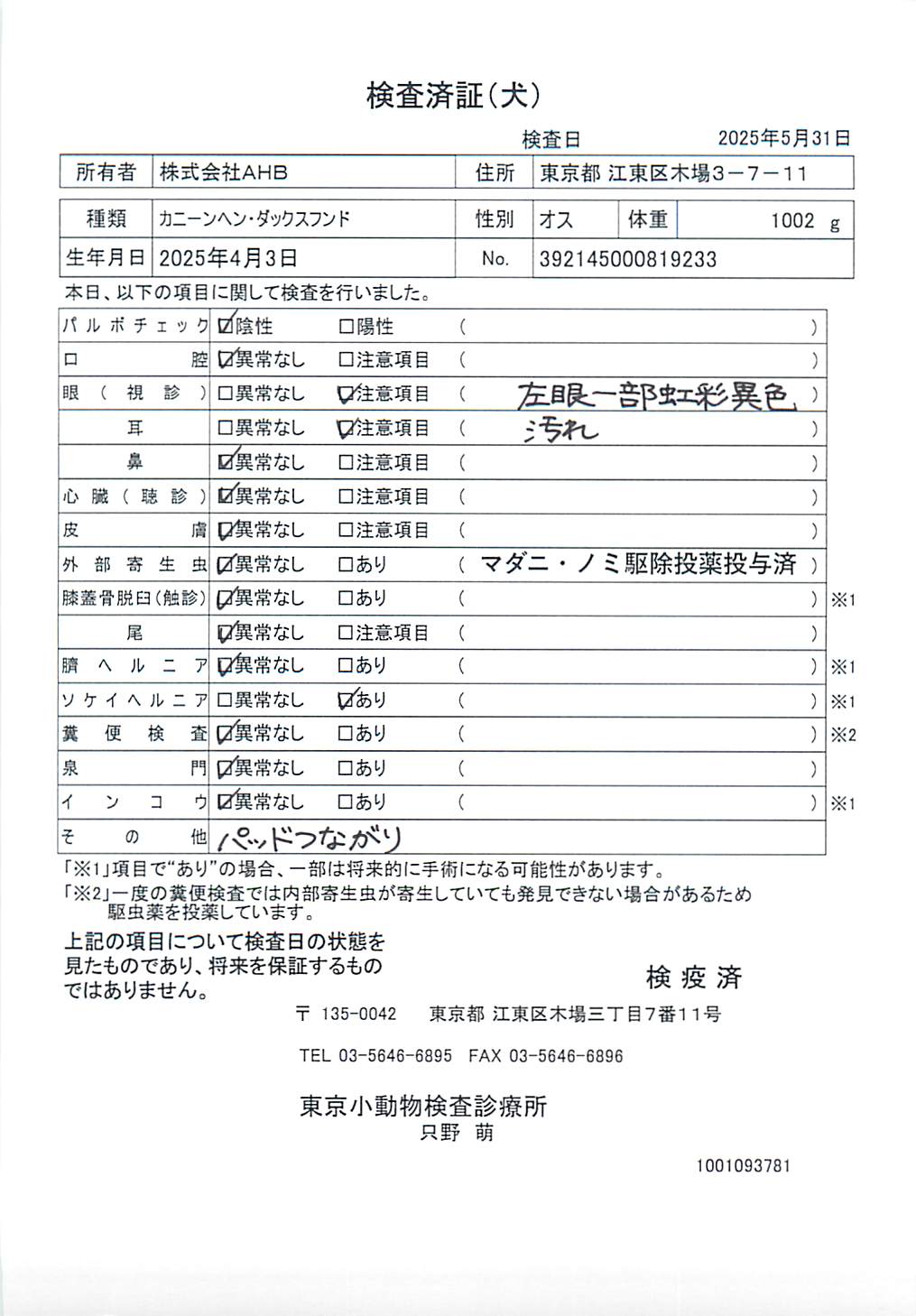 カニーンヘン・ダックスフンド