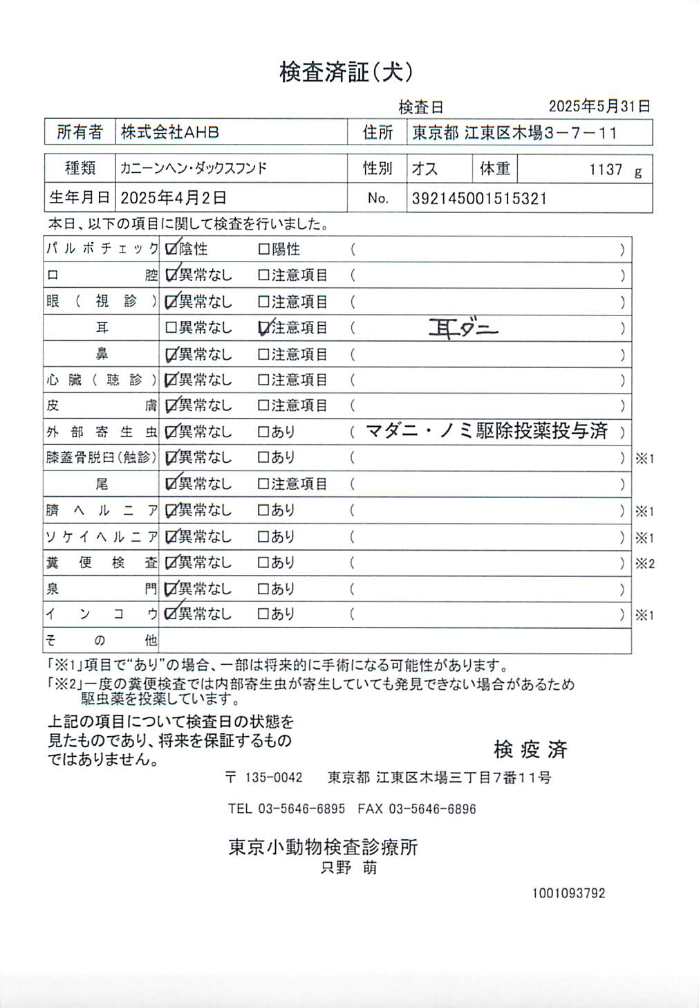 カニーンヘン・ダックスフンド
