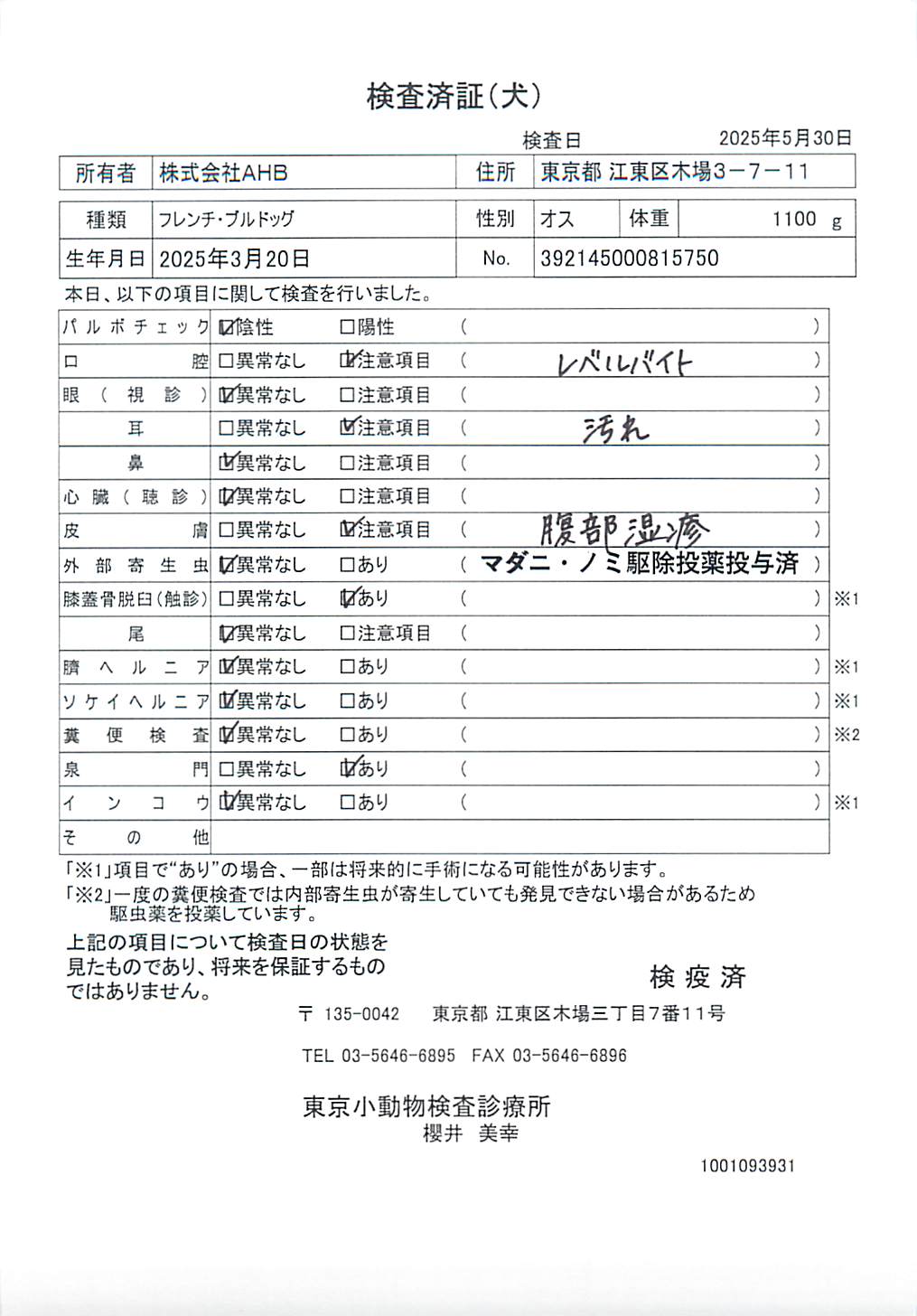フレンチ・ブルドッグ