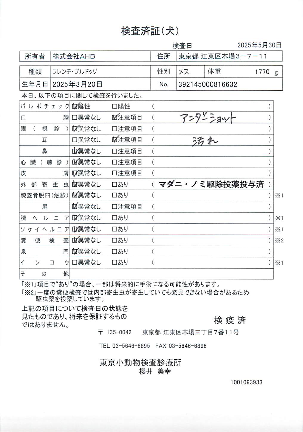 フレンチ・ブルドッグ