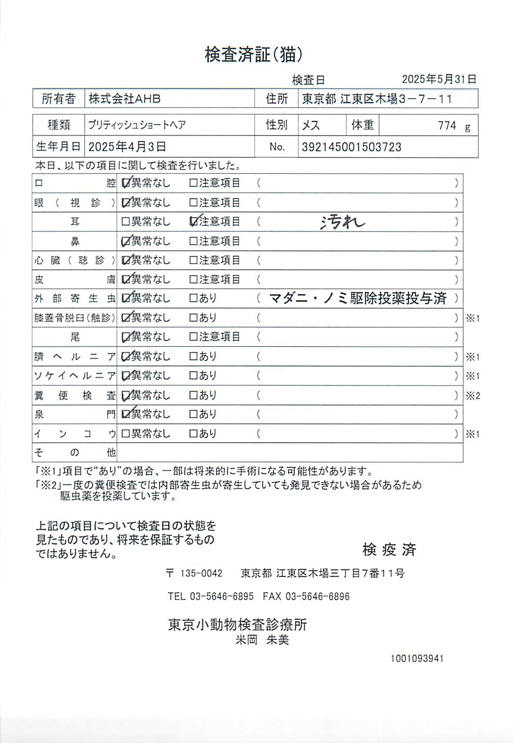 ブリティッシュショートヘア