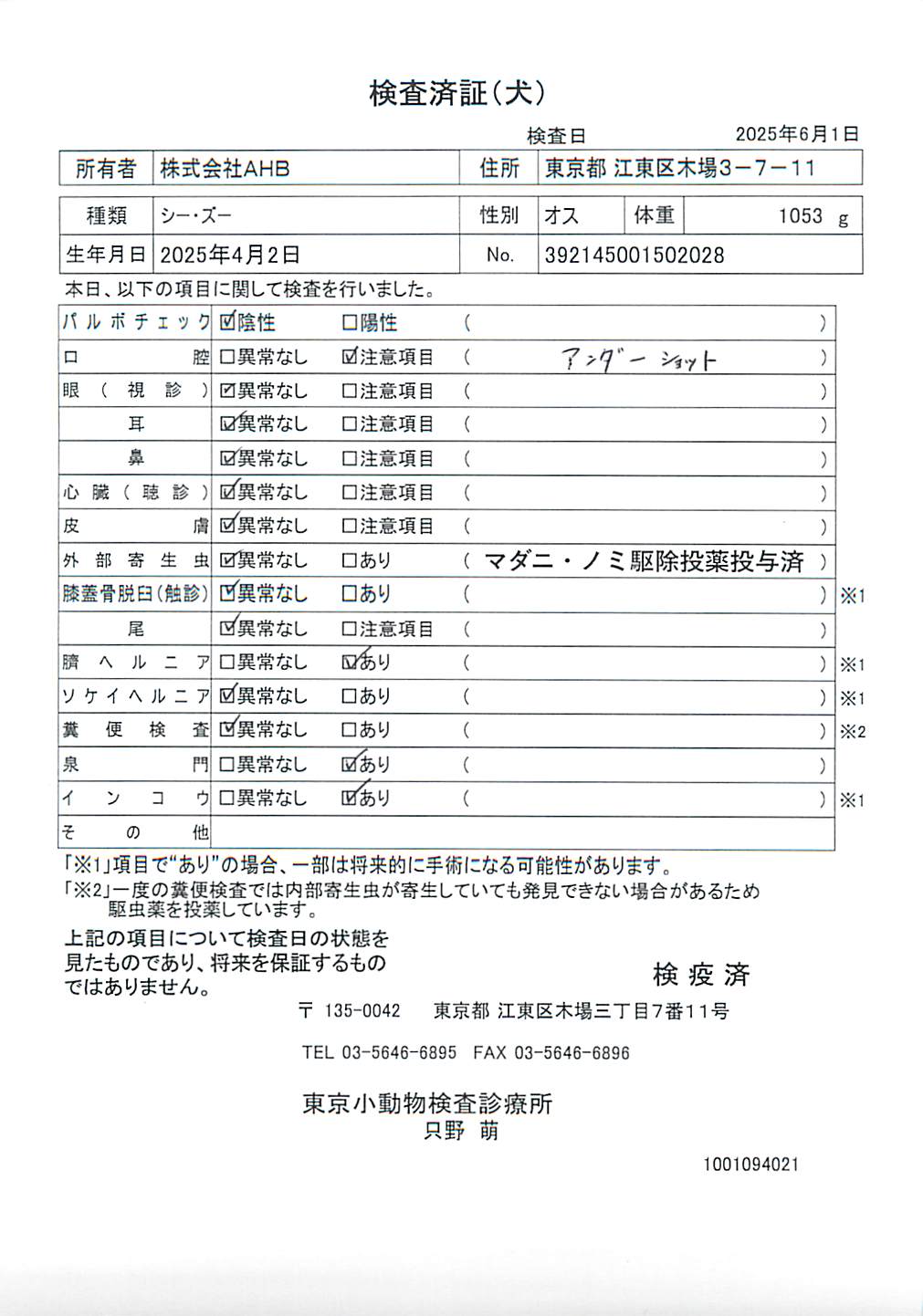 シー・ズー