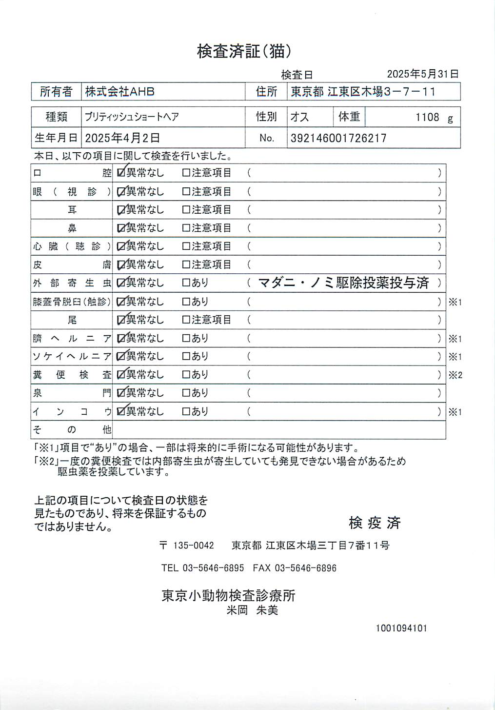 ブリティッシュショートヘア