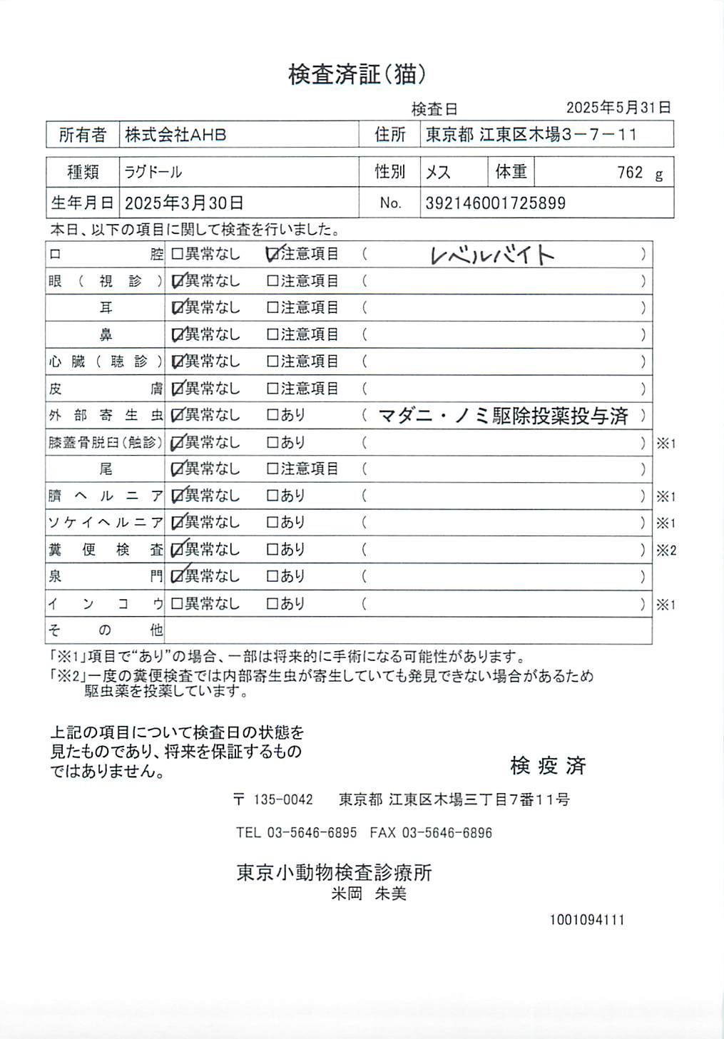 ラグドール