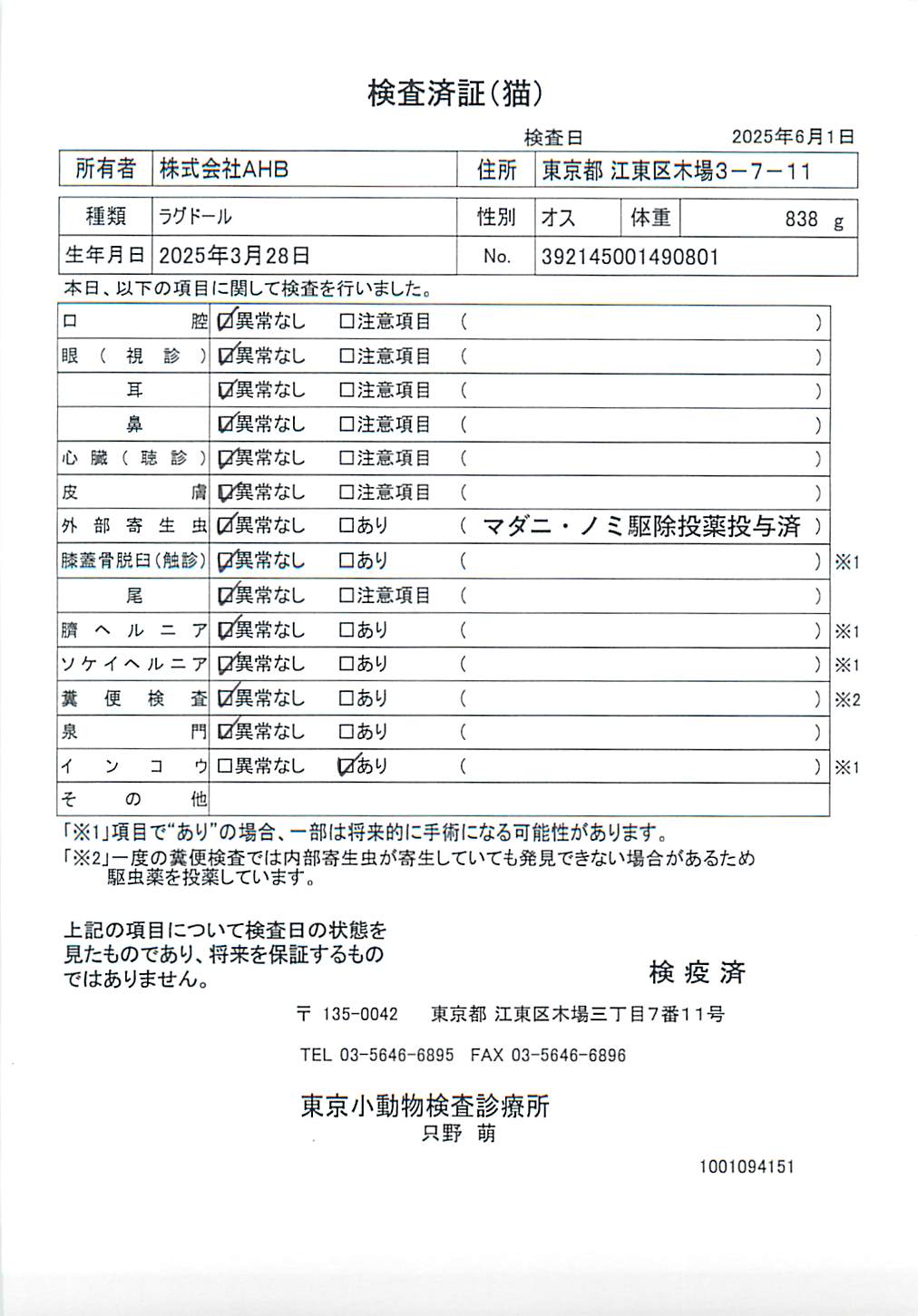 ラグドール