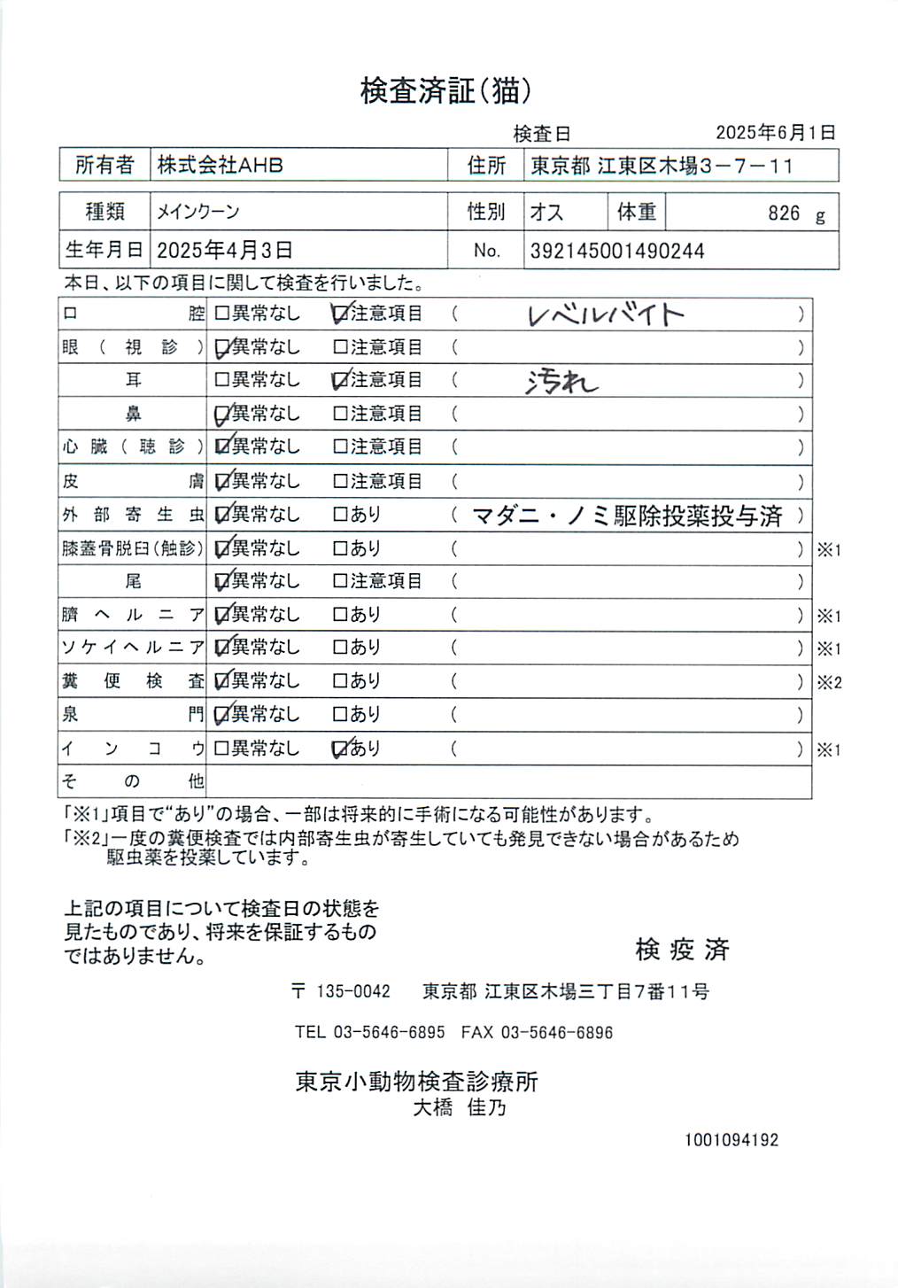 メインクーン