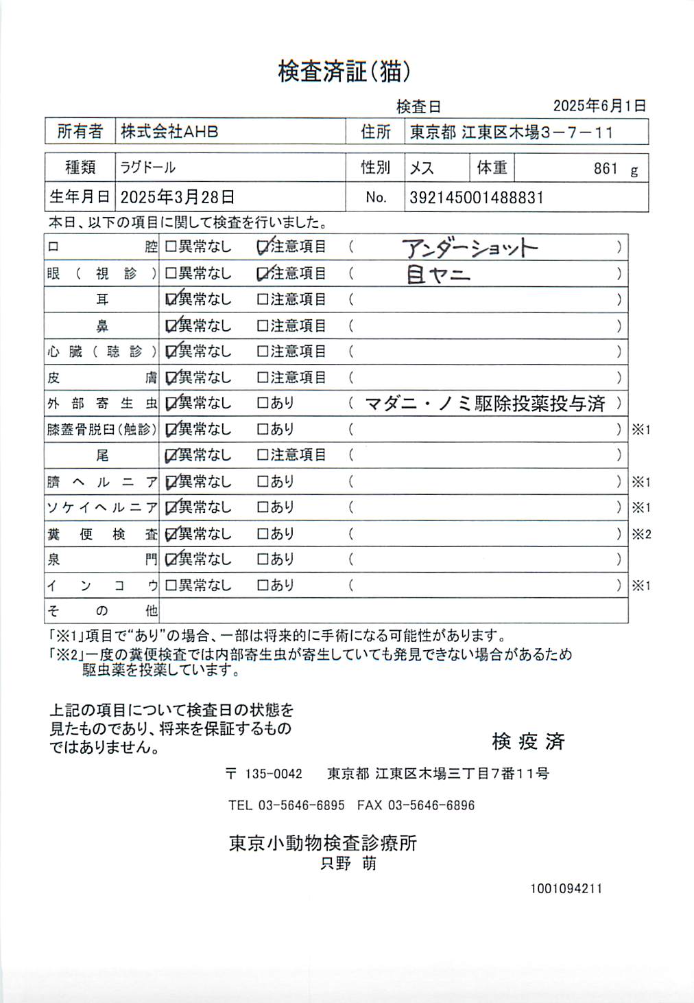 ラグドール