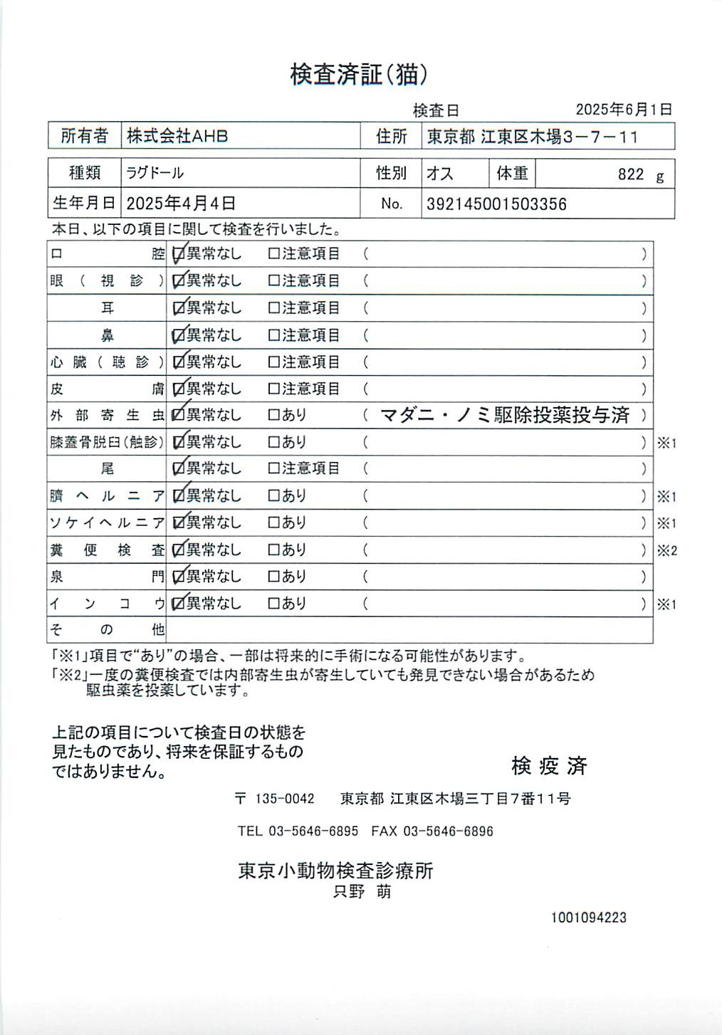 ラグドール