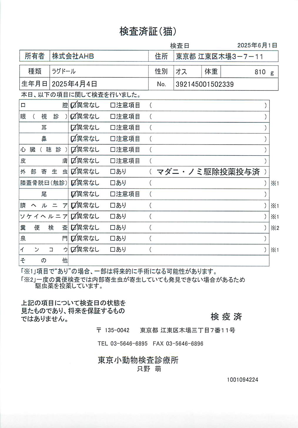 ラグドール