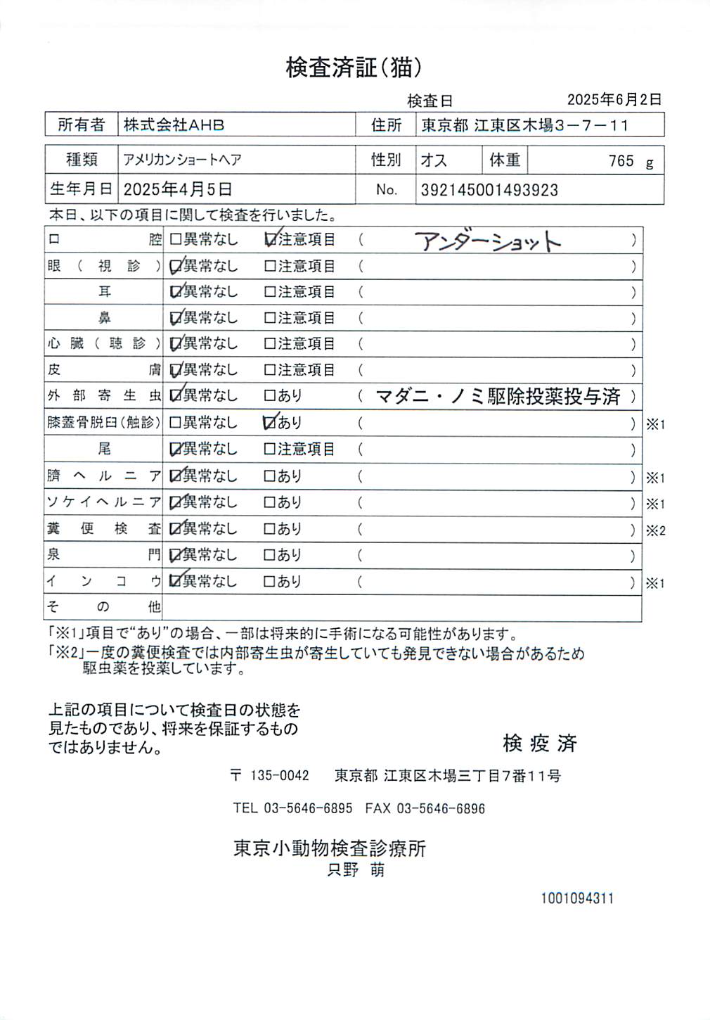 アメリカンショートヘア