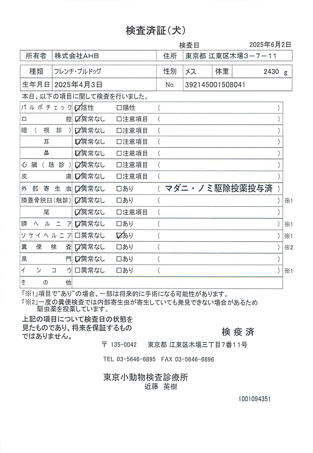 フレンチ・ブルドッグ