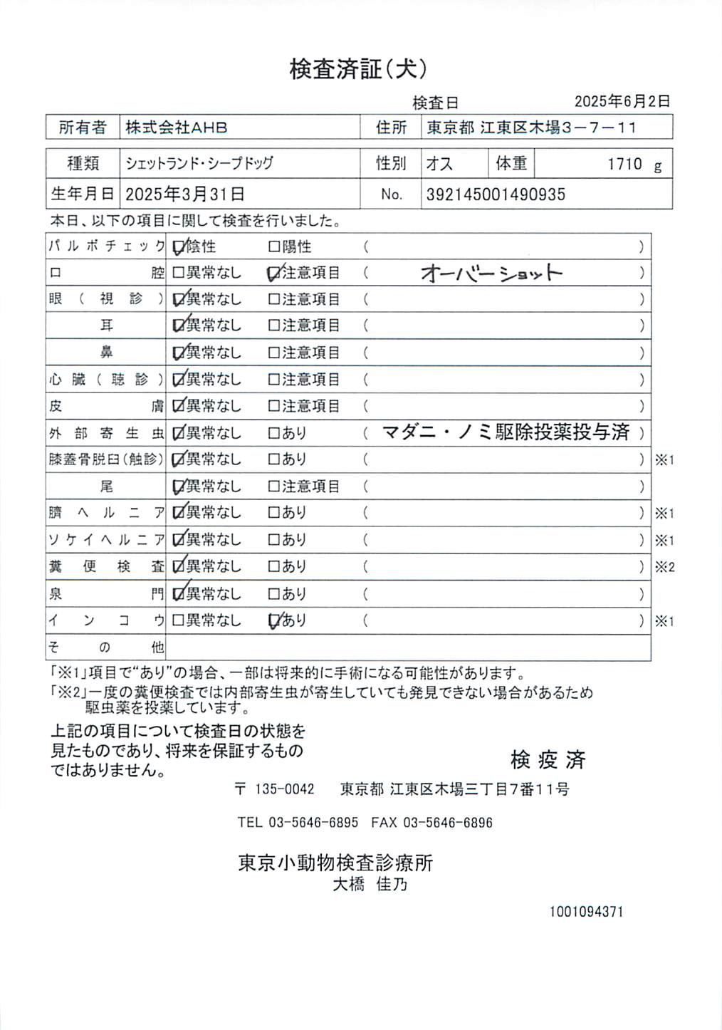 シェットランド・シープドッグ