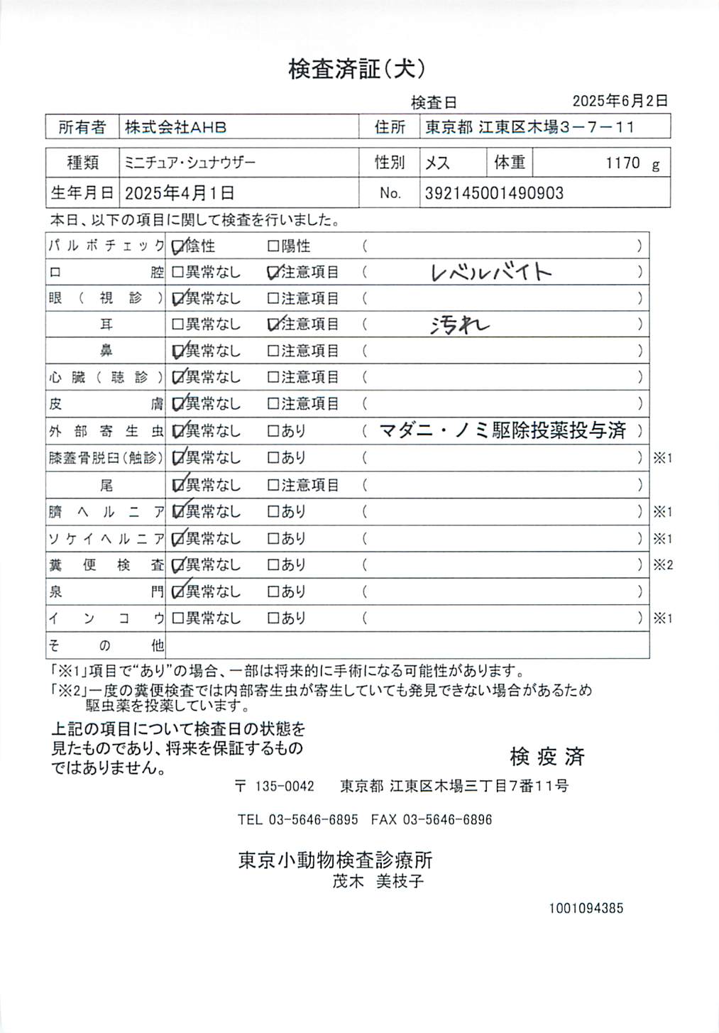 ミニチュア・シュナウザー