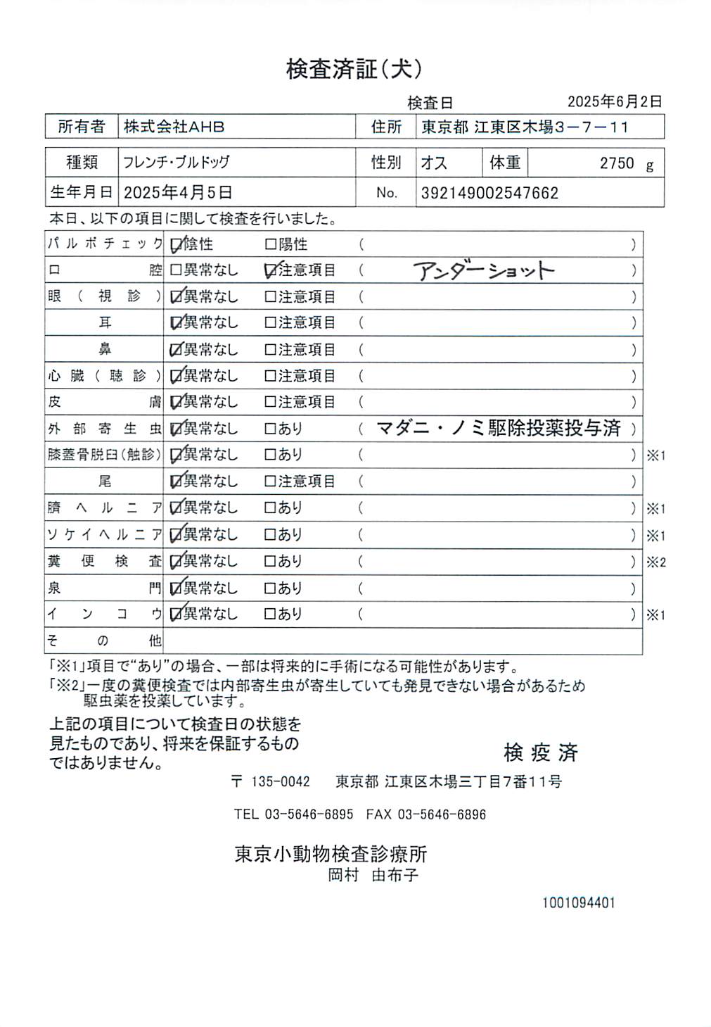 フレンチ・ブルドッグ