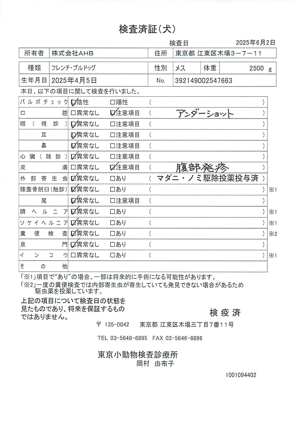 フレンチ・ブルドッグ