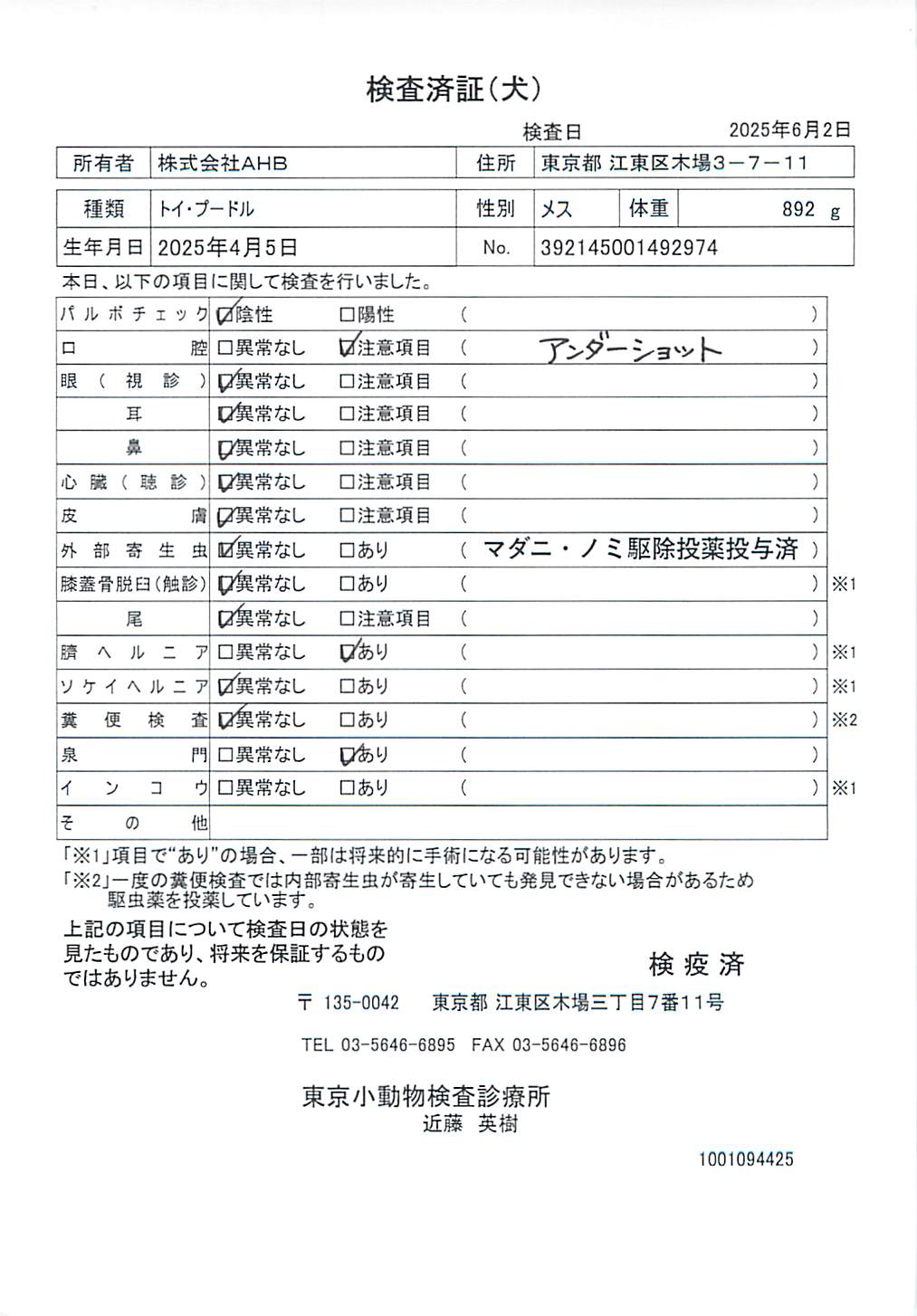 トイ・プードル