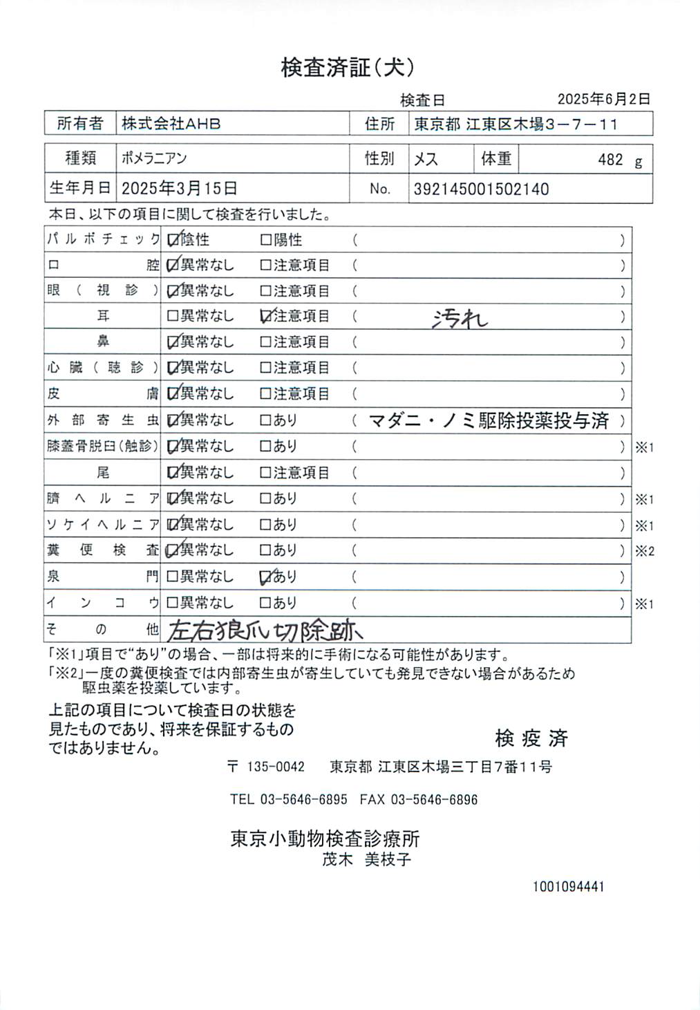 ポメラニアン