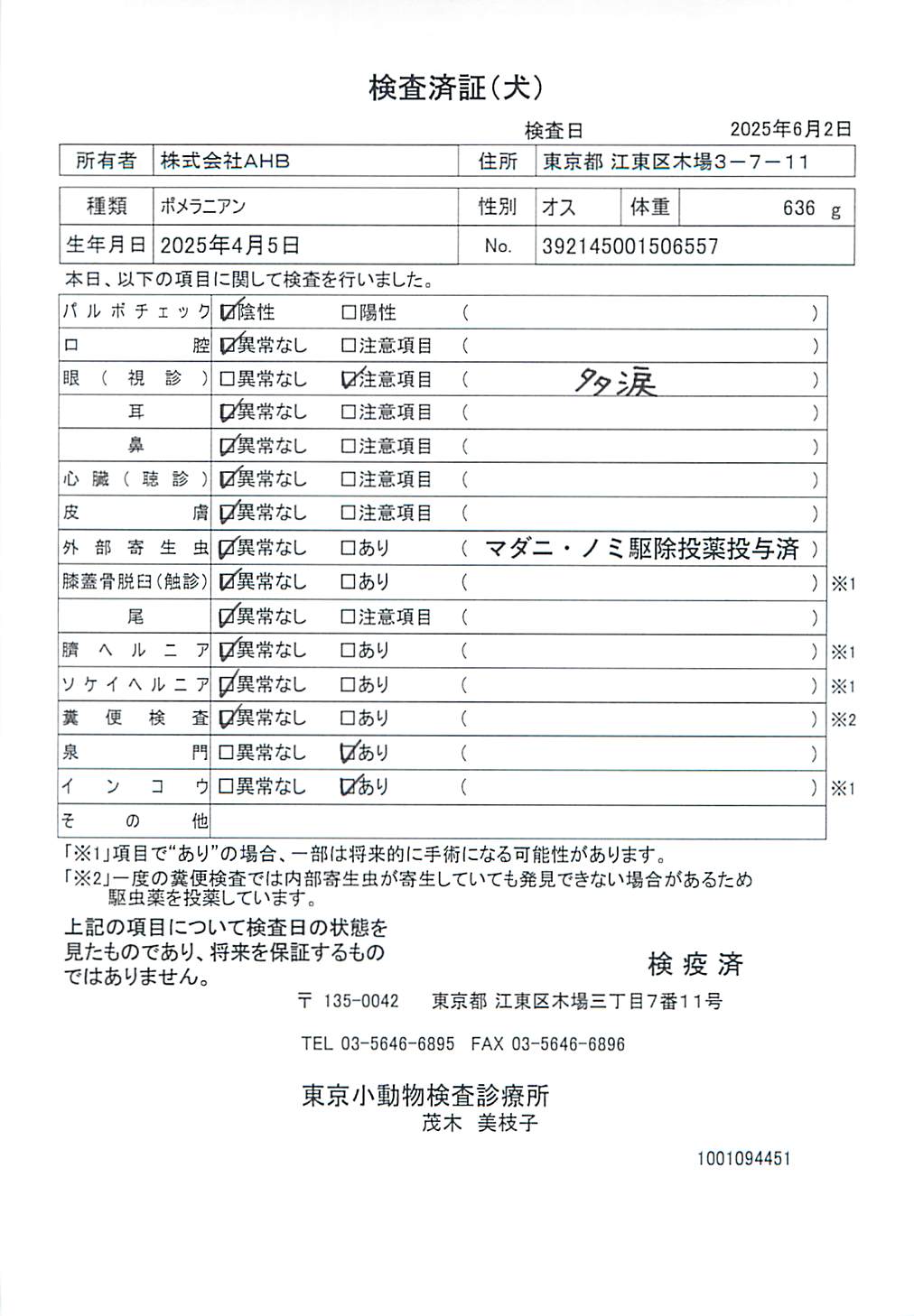 ポメラニアン