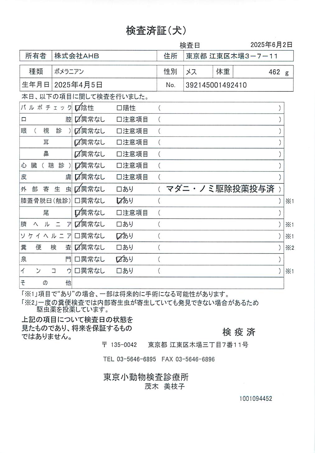ポメラニアン