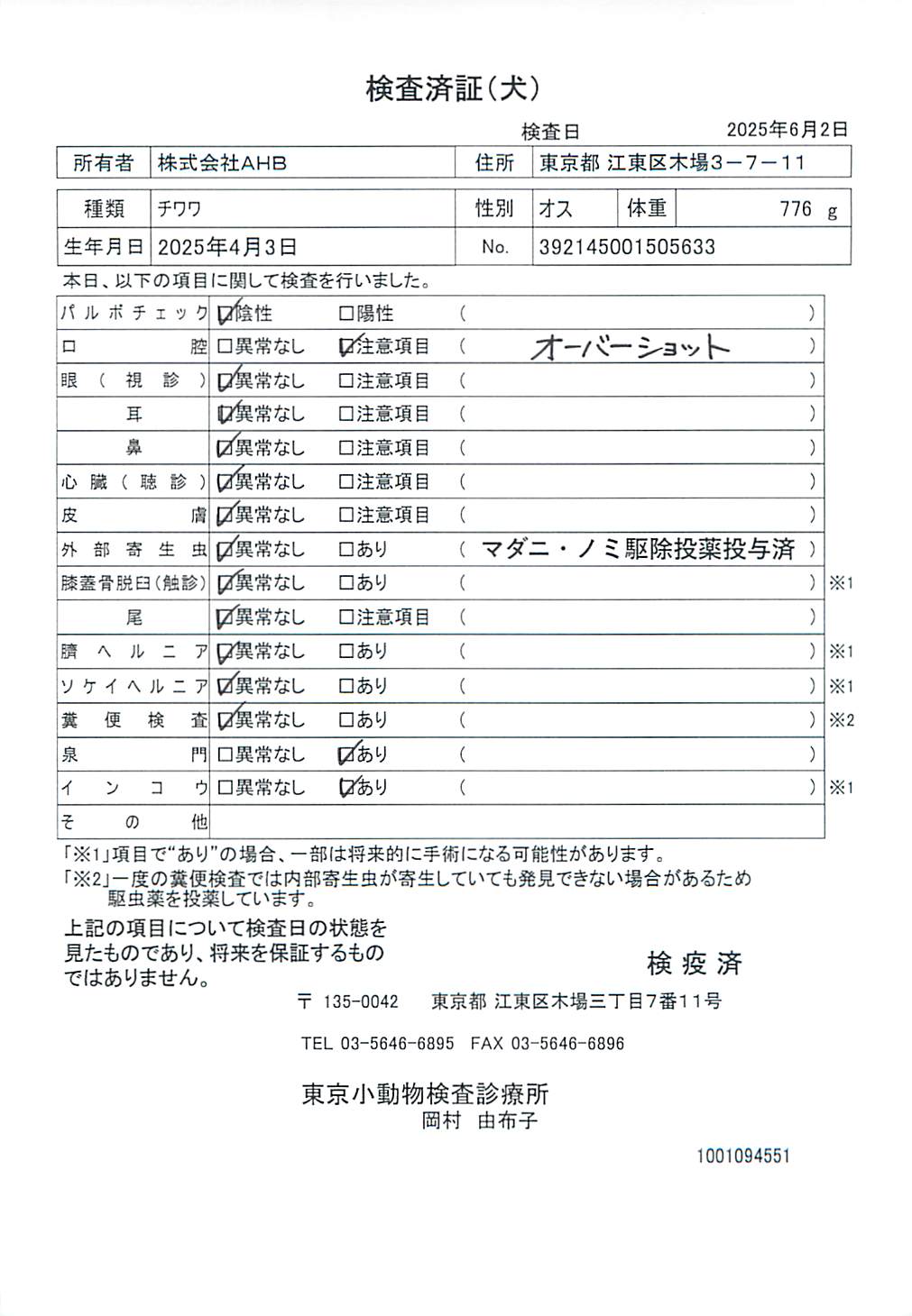 チワワ