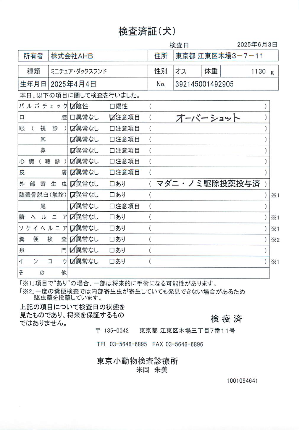 ミニチュア・ダックスフンド
