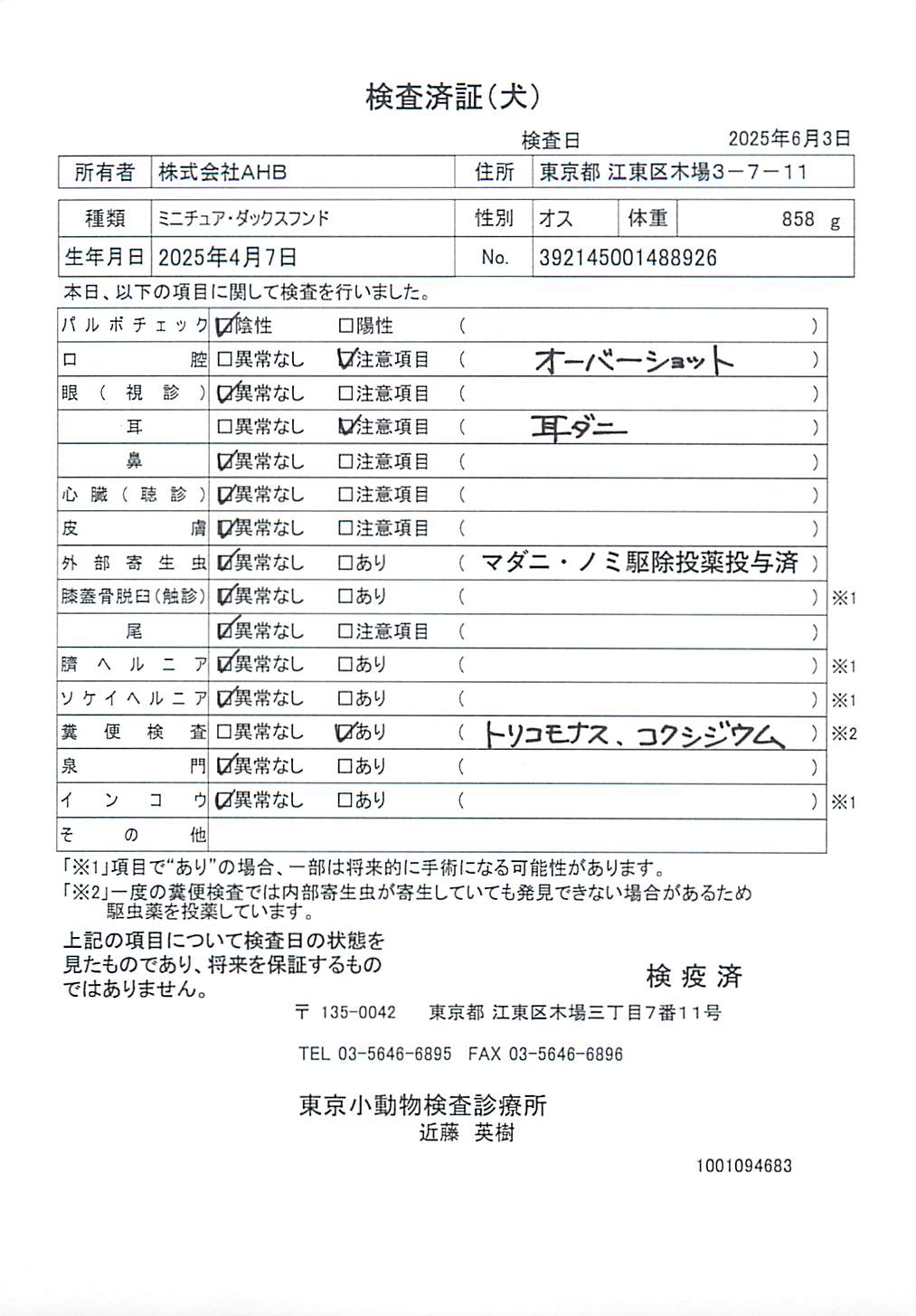 ミニチュア・ダックスフンド