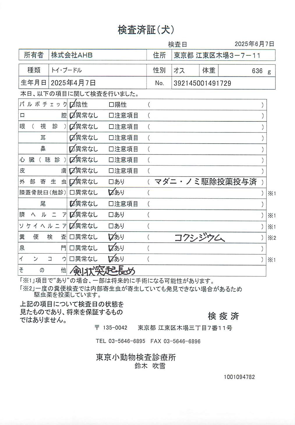 トイ・プードル