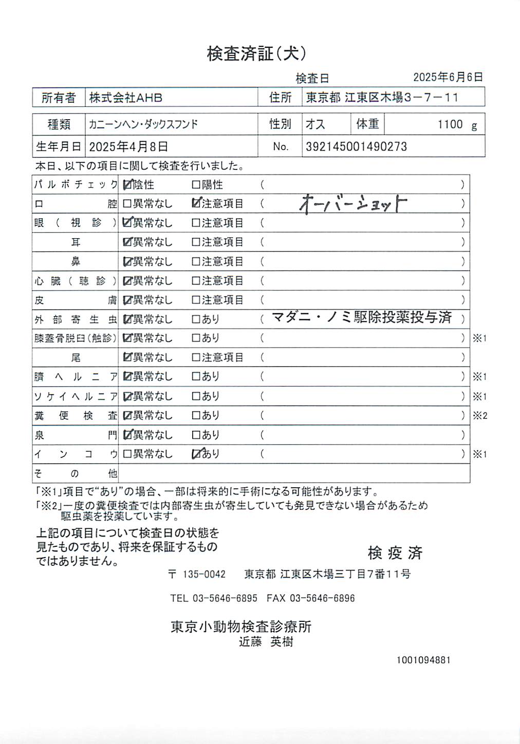 カニーンヘン・ダックスフンド