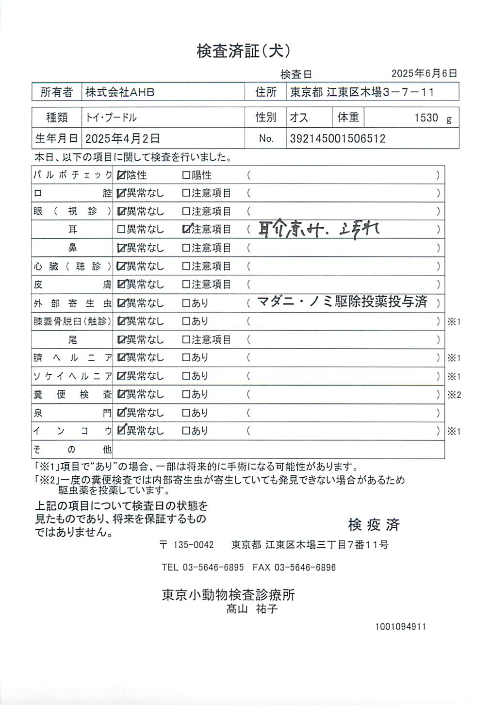 トイ・プードル