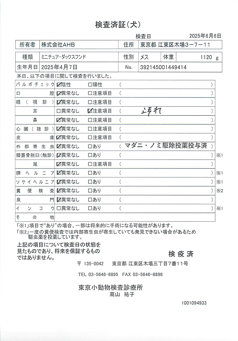 ミニチュア・ダックスフンド