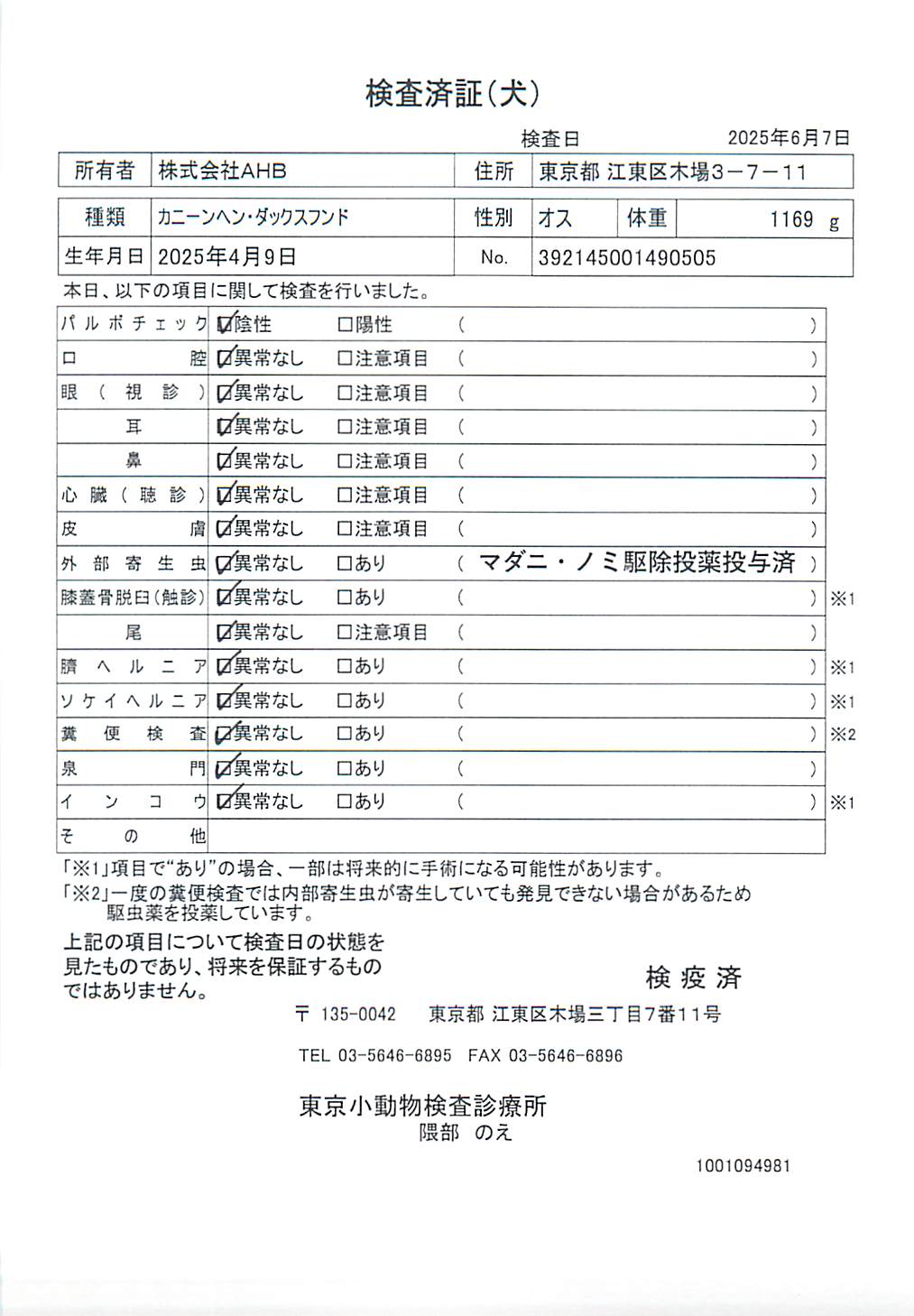 カニーンヘン・ダックスフンド