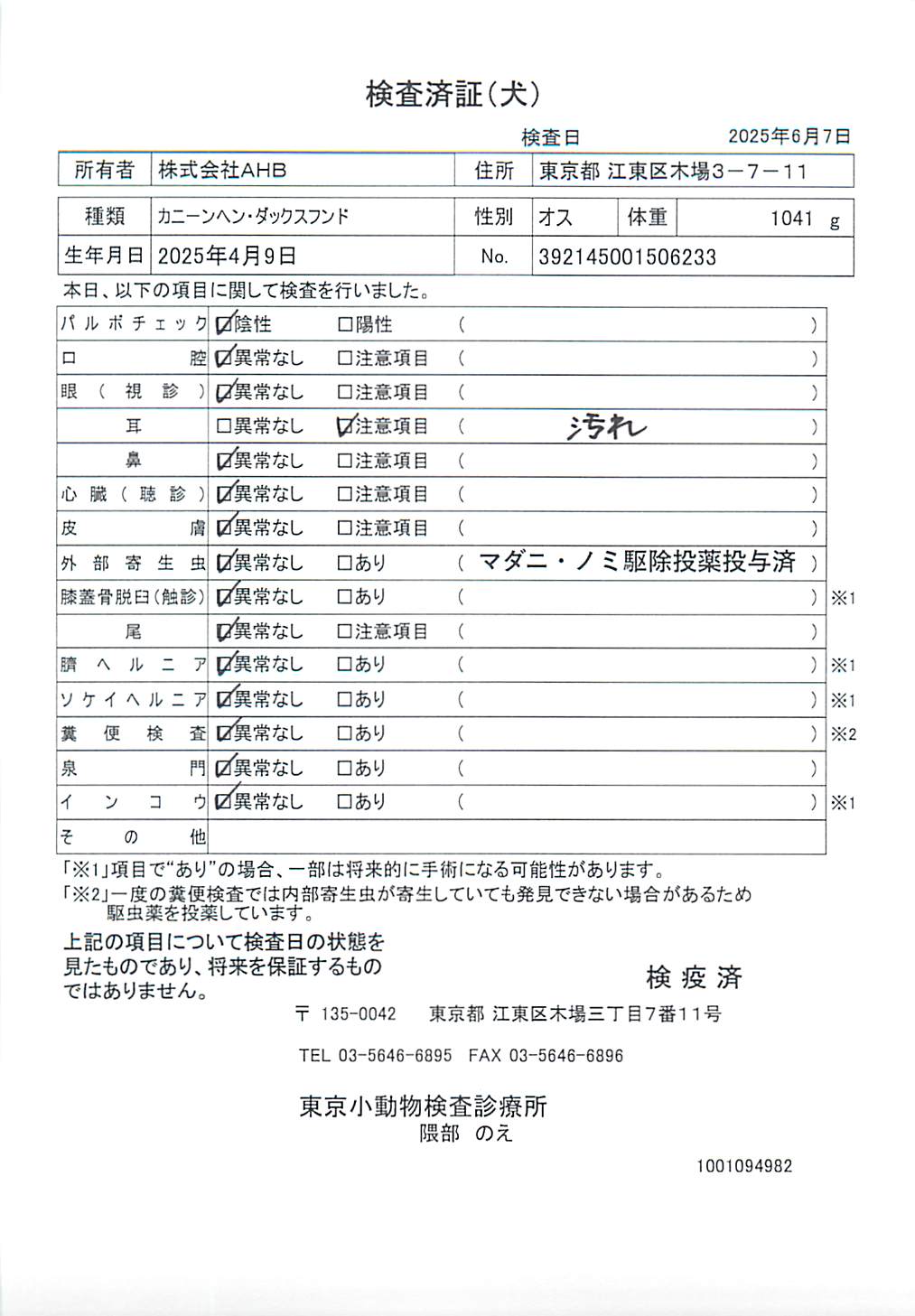 カニーンヘン・ダックスフンド