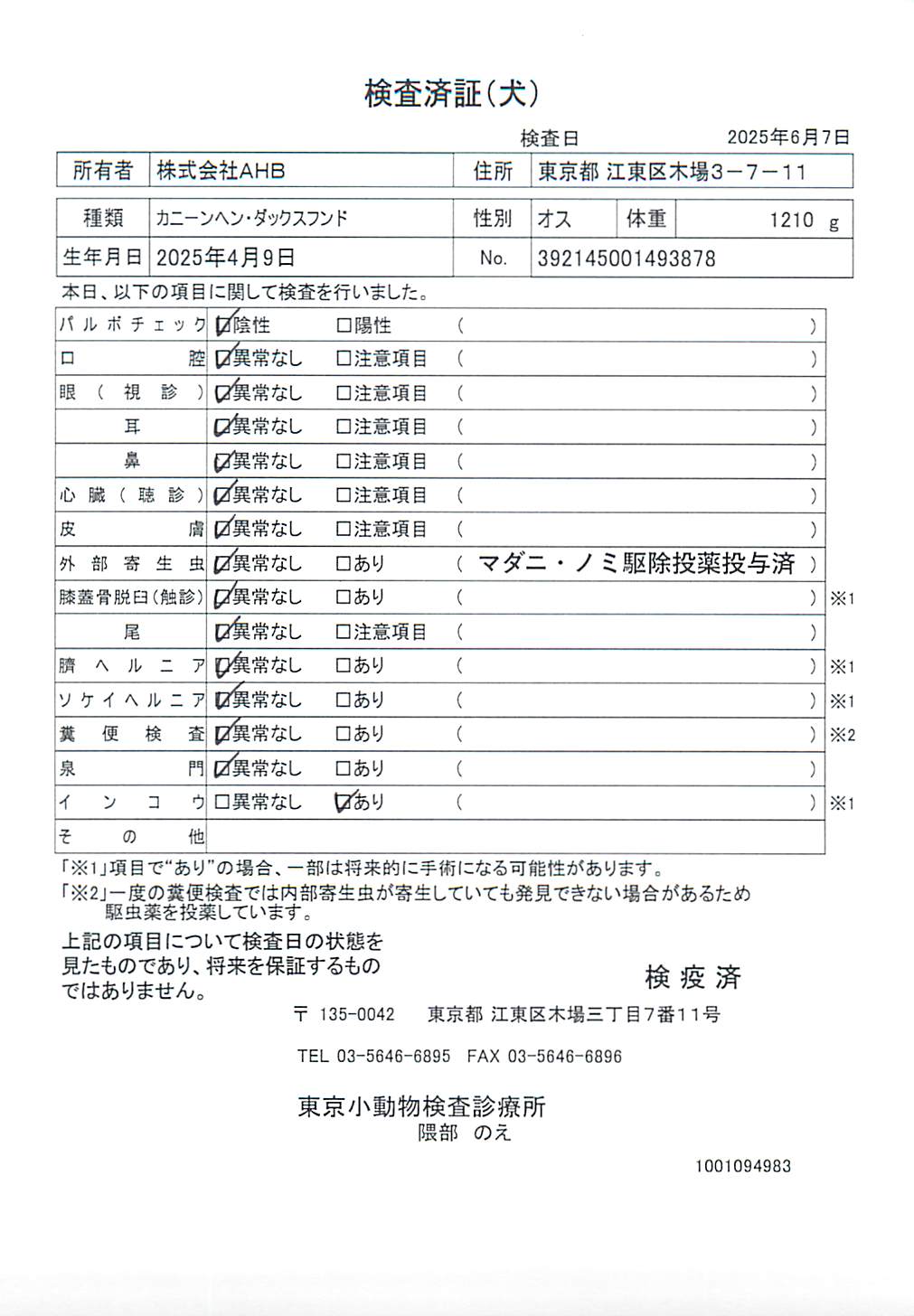 カニーンヘン・ダックスフンド
