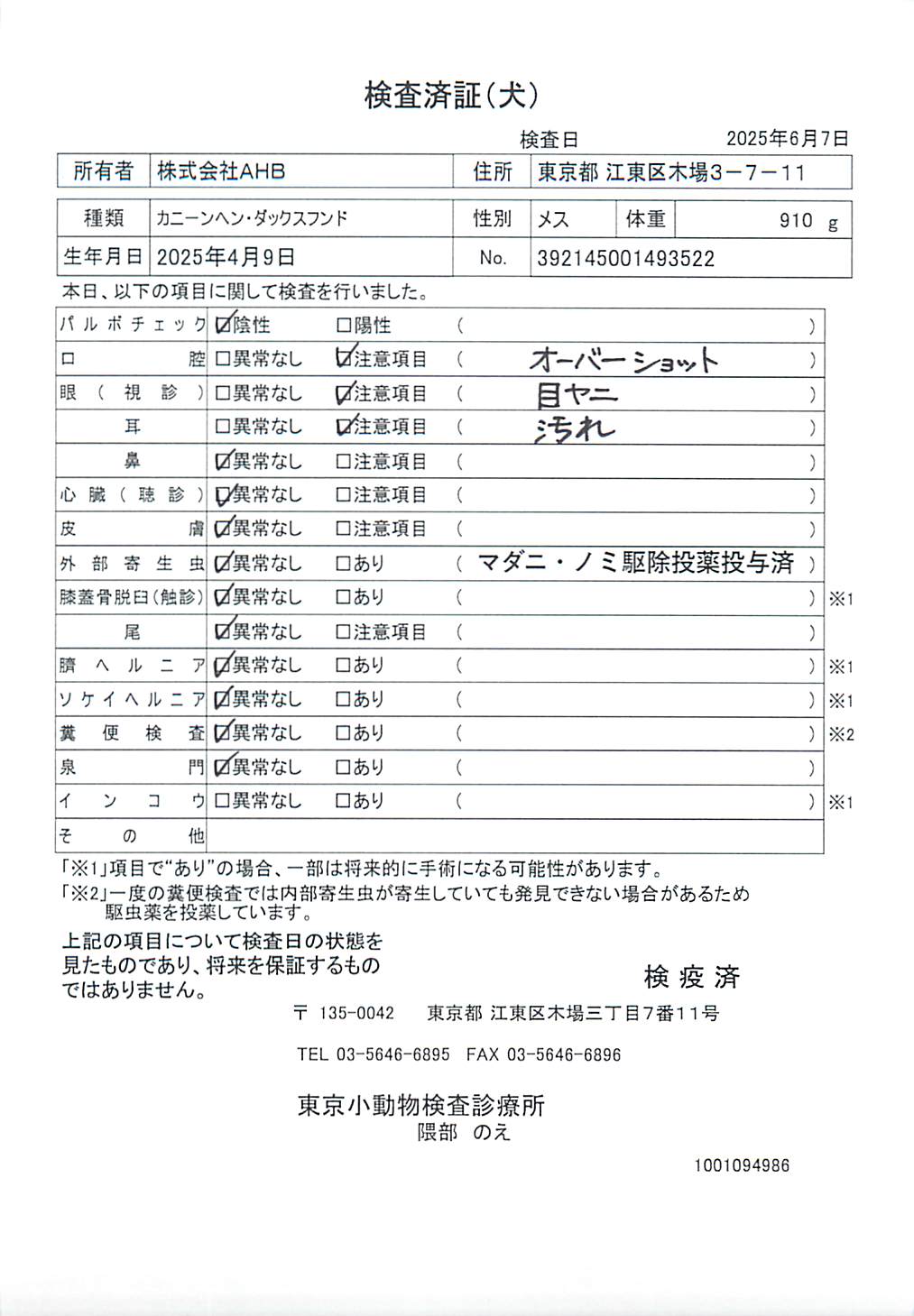 カニーンヘン・ダックスフンド